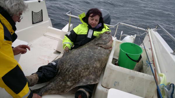 halibut 142 cm, 33 kg, 11. kvetna