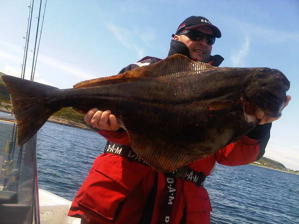 halibut z Bergfjordu / Roan