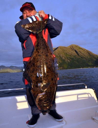 halibut z kraje Finnmark