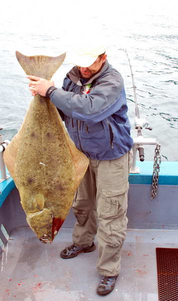 halibut 27 kg