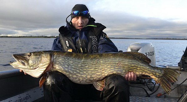 stika 121 cm, 15 kg, unor na jezere Corrib