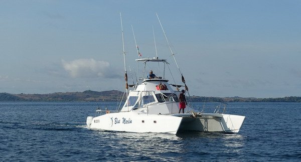 rybarska lod - katamaran Blue Marlin