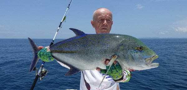 kranas modroploutvy-bluefin 82 cm uloveny na jerk