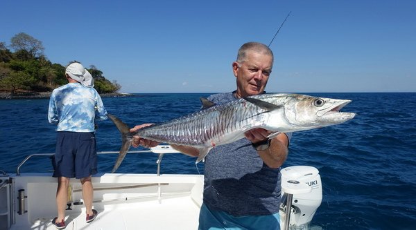 makrela Commersonova - king mackerel 92 cm ulovena na modrý jerk 14 cm