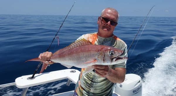 chňapal růžový - rosy jobfish ulovený na jig