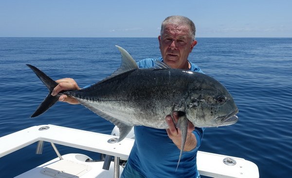 kranas obrovsky-GT 80 cm, uloveny na popp