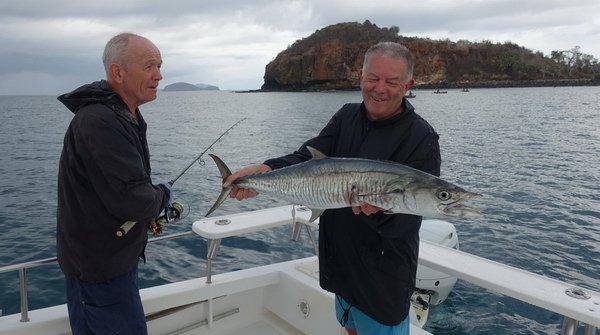 makrela Commersonova - king mackerel 98 cm ulovena na privlac