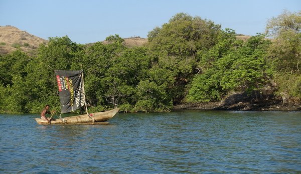 porosty mangrovů a domorodý rybář v zátoce poloostrova San Sebastian