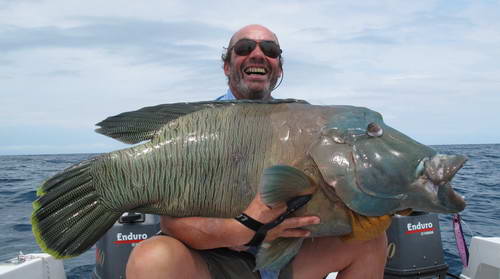 napoleon 35 kg uloveny na jig napoleon 35 kg uloveny na jig
