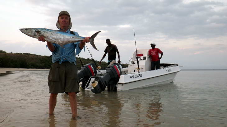 kralovska makrela - king mackerel kralovska makrela - king mackerel
