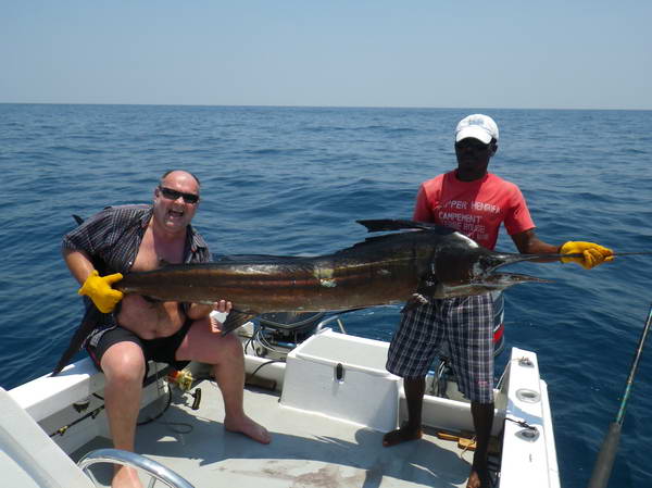 plachetnik - sailfish 253 cm