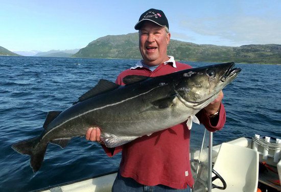 treska tmava 17 kg treska tmava 17 kg