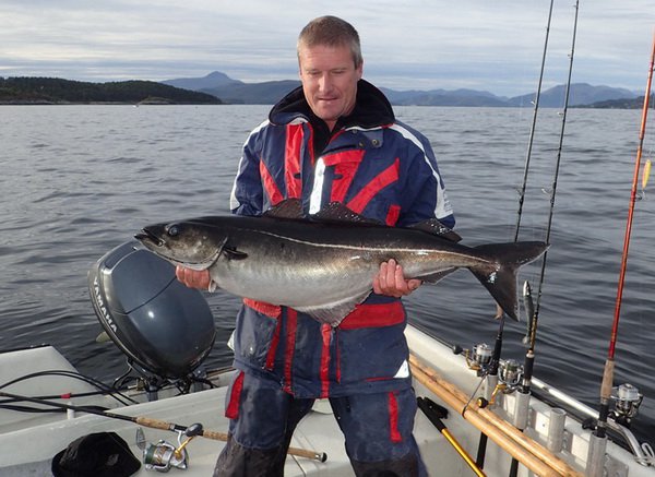 treska tmava 107 cm, 12 kg treska tmava 107 cm, 12 kg