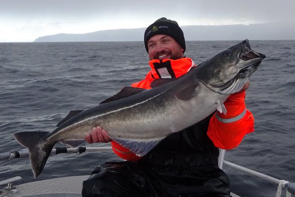 rijnova treska tmava 110 cm rijnova treska tmava 110 cm
