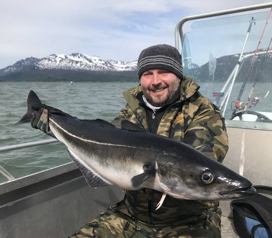 treska tmavá 9 kg z Larseng treska tmavá 9 kg z Larseng