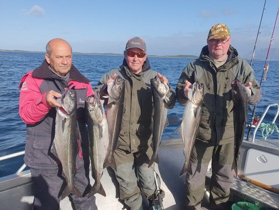 Hestoysund- tresky tmavé Hestoysund- tresky tmavé