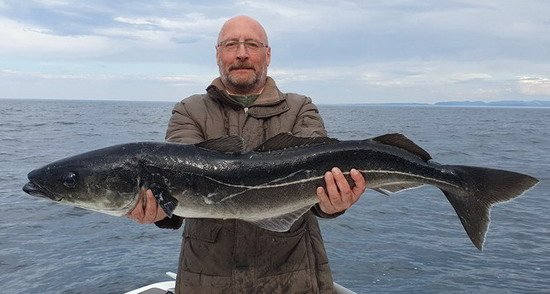treska tmava-keler 111 cm treska tmava-keler 111 cm