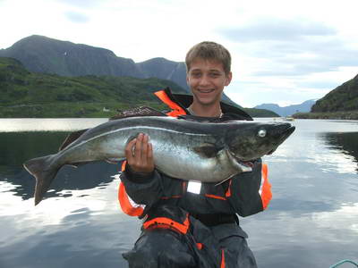 Seiland - treska tmava, cervenec Seiland - treska tmava, cervenec