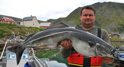 treska tmava 104 cm treska tmava 104 cm