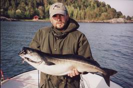Einset - treska tmava 2004 Einset - treska tmava 2004