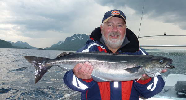 treska tmava, Nordland treska tmava, Nordland
