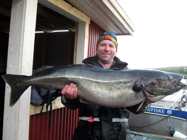 treska tmava 113 cm treska tmava 113 cm