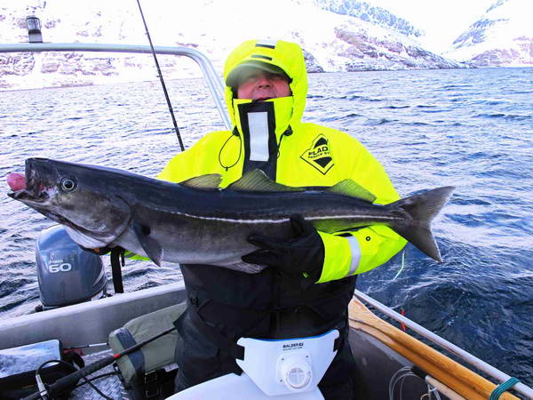 treska tmava - kveten v kraji Finnmark