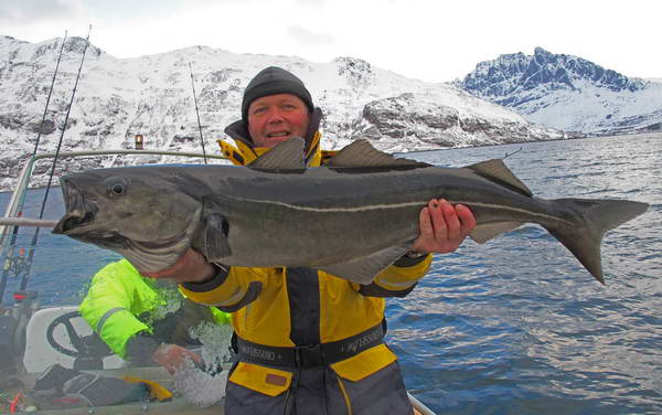 treska tmava, kraj Finnmark treska tmava, kraj Finnmark