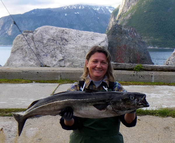 treska tmava - keller, Senja, cervenec treska tmava - keller, Senja, cervenec