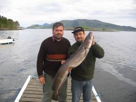 Mnik morsky 121 cm, Tingvollfjord Mnik morsky 121 cm, Tingvollfjord