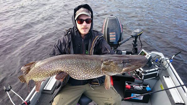 stika 120 cm, 10,6 kg stika 120 cm, 10,6 kg