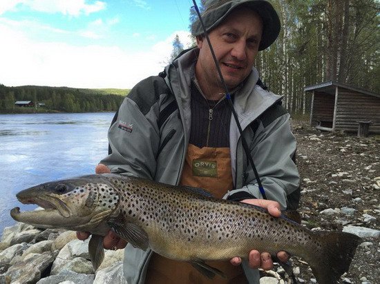 pstruh obecny 70 cm, cerven ve Skonvik