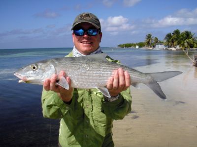 albula - bonefish