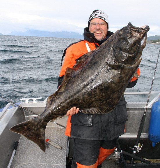 halibut halibut