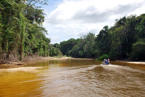 pruzracne ricni rameno pritoku reky Rio Negro