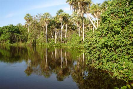 ricni laguna obklopena pralesem ricni laguna obklopena pralesem