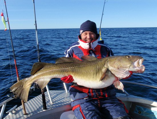 treska 145 cm a 33 kg treska 145 cm a 33 kg