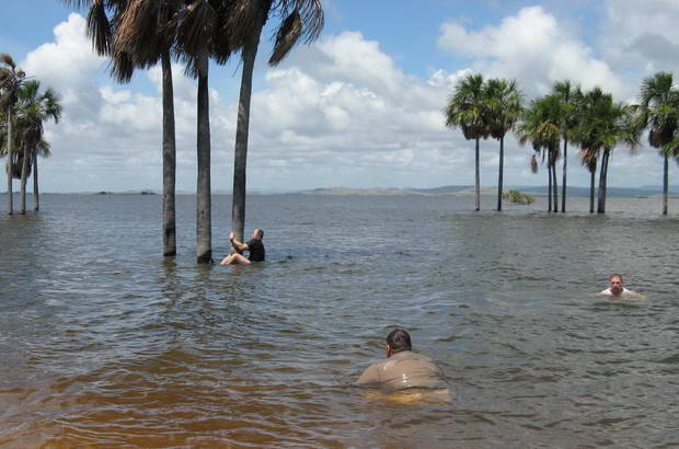 jezero - koupani mezi zaplavenymi palmami