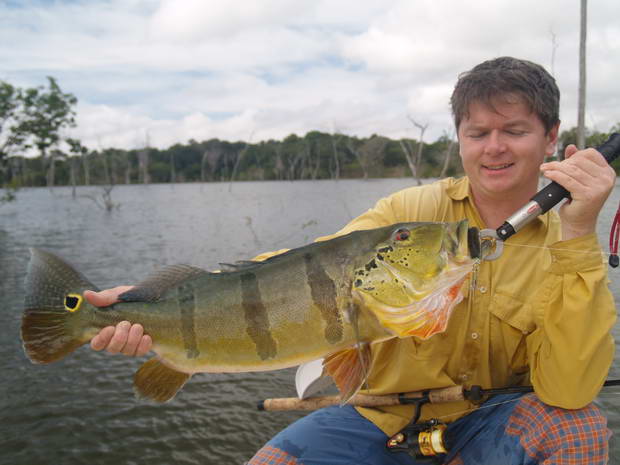 pavon 3,5 kg pavon 3,5 kg