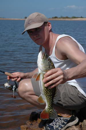 pavon 0,7 kg pavon 0,7 kg