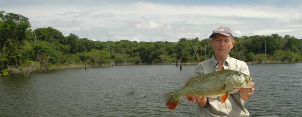 pavon 2,5 kg pavon 2,5 kg