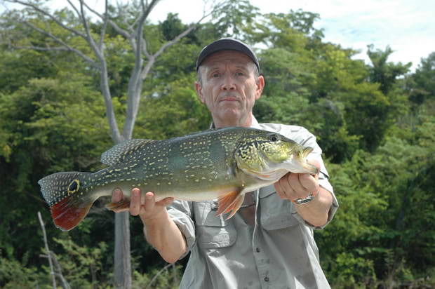 pavon 2 kg pavon 2 kg
