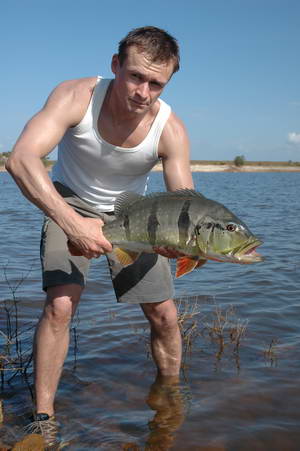 pavon 3 kg pavon 3 kg