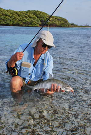 albula lisci - bonefish