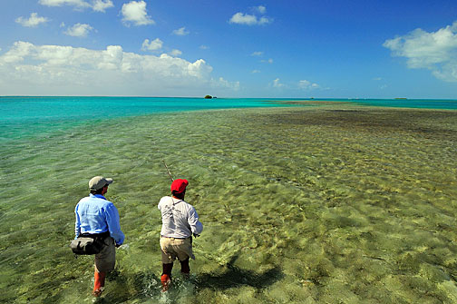 lov bonefish - hledani ryb v melcinach - flats lov bonefish - hledani ryb v melcinach - flats