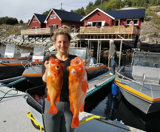 Solvika-Beskeland, ulovek okouniku Solvika-Beskeland, ulovek okouniku