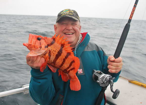 Afognak v zari - okounik, tiger rockfish Afognak v zari - okounik, tiger rockfish