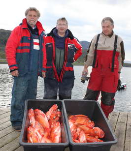 Finnmark - ulovek okouniku Finnmark - ulovek okouniku