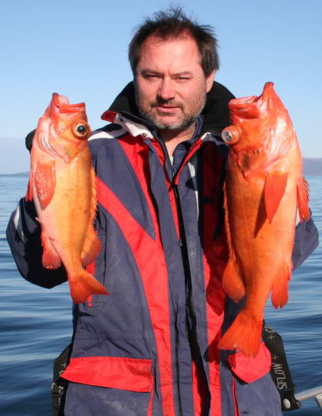 okounici 1 a 3 kg - Finnmark, zari okounici 1 a 3 kg - Finnmark, zari