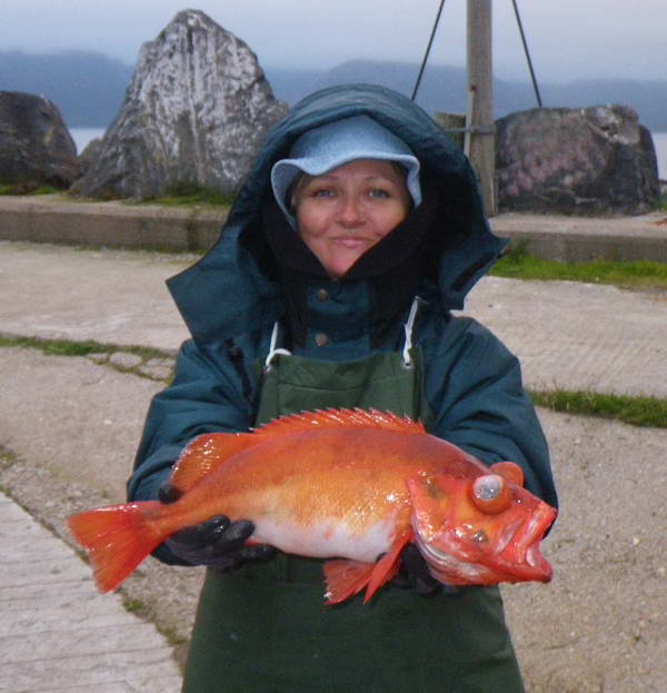 okounik 53 cm okounik 53 cm